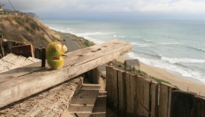 international investing